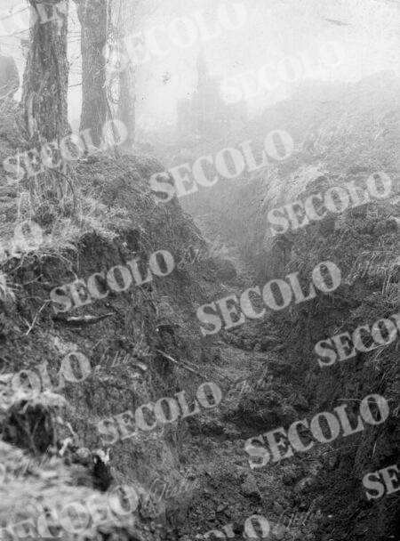 FOIBE STORIA 1